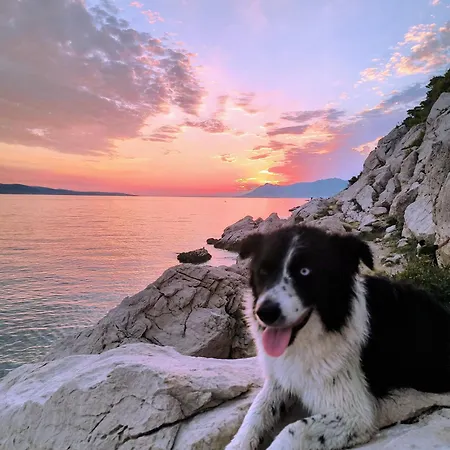 Dalmatia